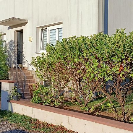 Strasbourg 3 Pieces Avec Jardin Brumath Exterior foto